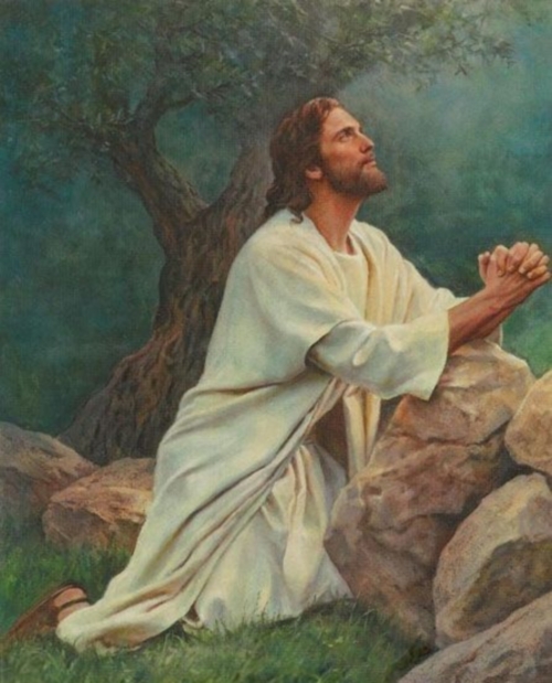 Resultado de imagen para IMAGEN DE JESUS EN ORACIÓN