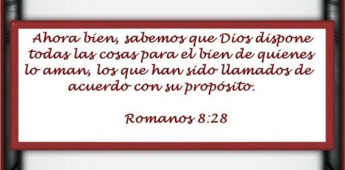 Romanos 8-28