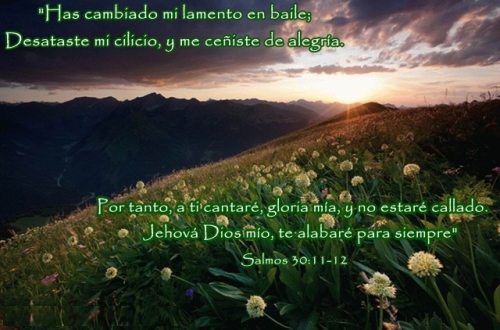 Citas biblicas Salmos